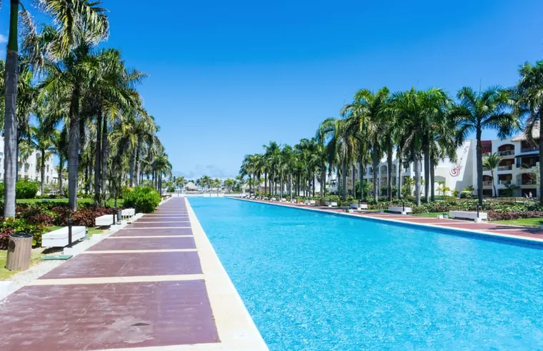 A long outdoor pool lined with palm trees